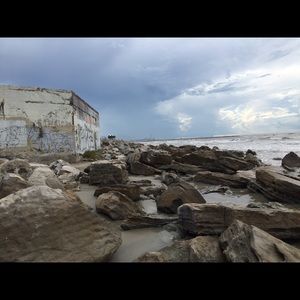 Meet your Posher, Reggie