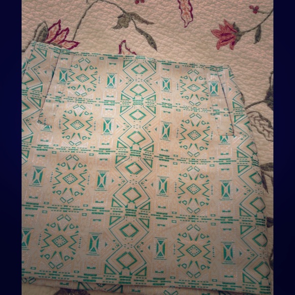 Beautiful skirt, new with tag