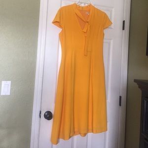 Eva Mendes collection from New York & Co.