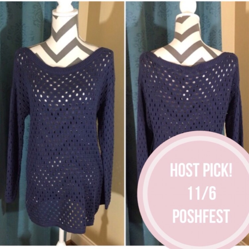 💕HP Poshfest 11/6! {BCBG} Blue knit Sweater