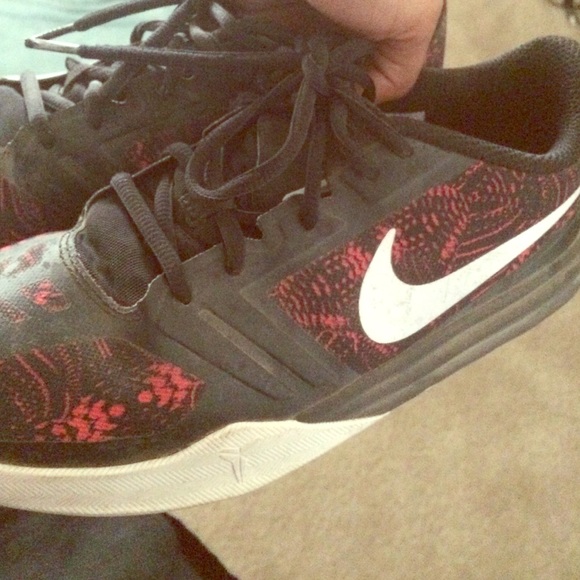 Old kobes