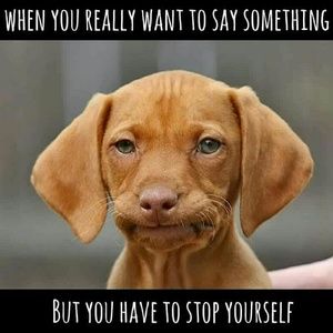 Meet your Posher, Janice