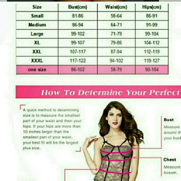 Black Striped Lace Chemise - Picture 3 of 3