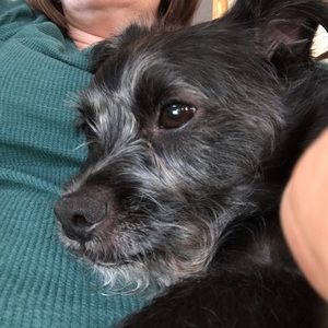 Meet your Posher, Anne