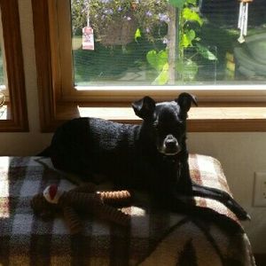 Meet your Posher, Vicky