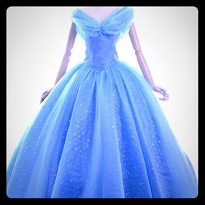 Cinderella costume dress size small adult