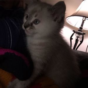 Meet your Posher, Teri