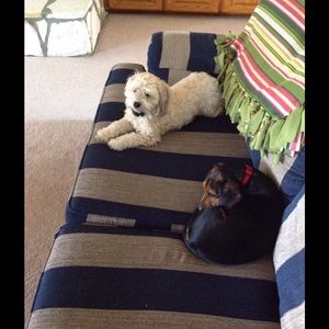 Meet your Posher, Frances