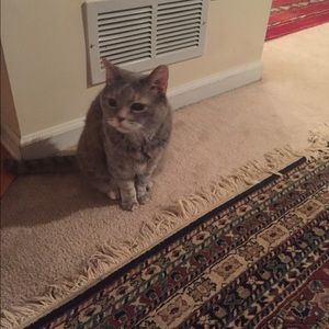 Meet your Posher, Hafida