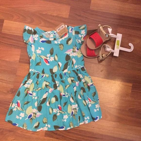 NWT  dress size 18-24 M Brand crazy 8.  Shoes not included.