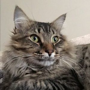 Meet your Posher, Camilla