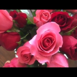 Meet your Posher, Sherri