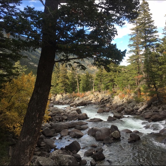 Meet your Posher, Lizzie - Picture 1 of 1