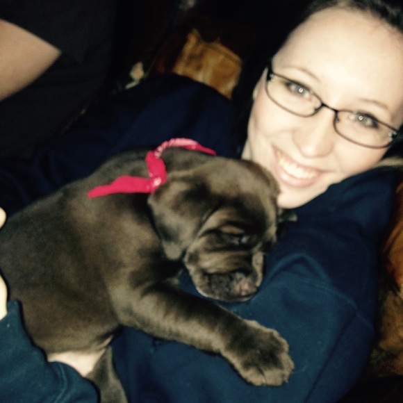 Meet your Posher, Katie - Picture 1 of 1