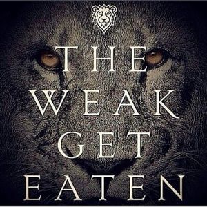 Meet your Posher, Herman