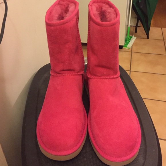 Brand new uggs