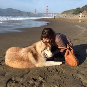 Meet your Posher, Monica