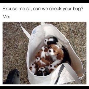 Meet your Posher, Fuk