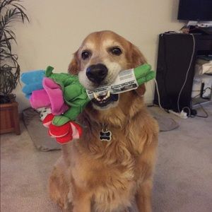 Meet your Posher, Tricia