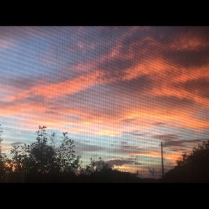 Meet your Posher, Irma