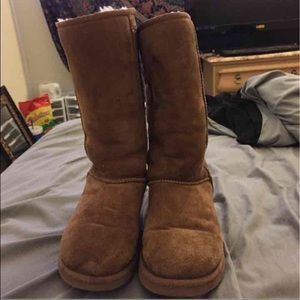 Tall Classic Chestnut Uggs