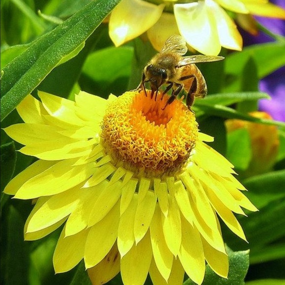 Meet your Posher, Laura - Picture 1 of 1