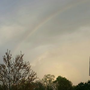 Meet your Posher, Lorraine