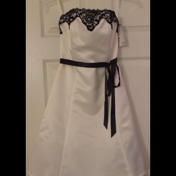 Jessica McClintock Cream and Black Lace Dress