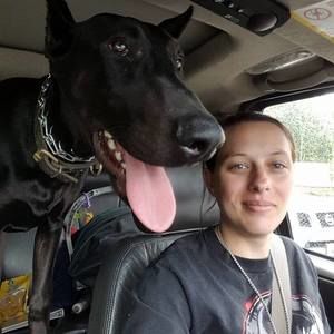 Meet your Posher, Laura