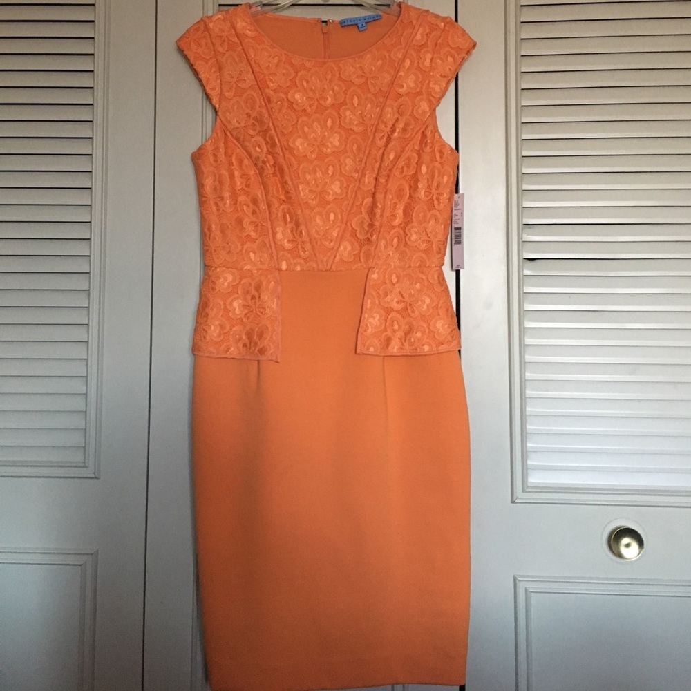 🎉SALE!!🎉Business casual dress