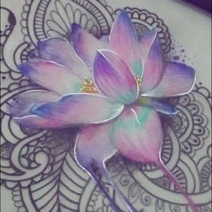 Meet your Posher, Lindsay