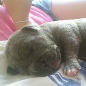 Meet your Posher, Pernee