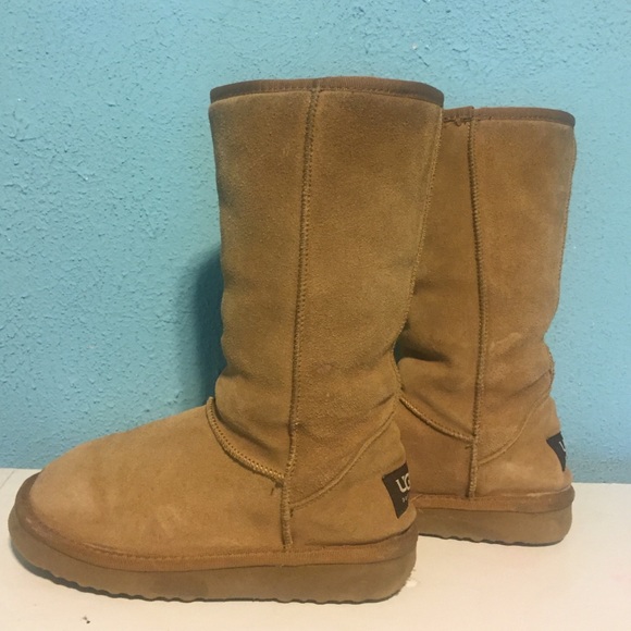 Classic Tall Tan Uggs