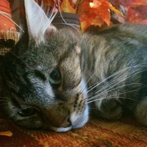 Meet your Posher, Logan