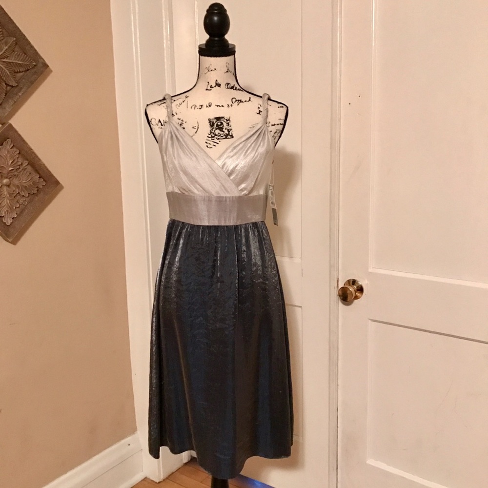 NWT❤️ Adrianna Papell cocktail dress