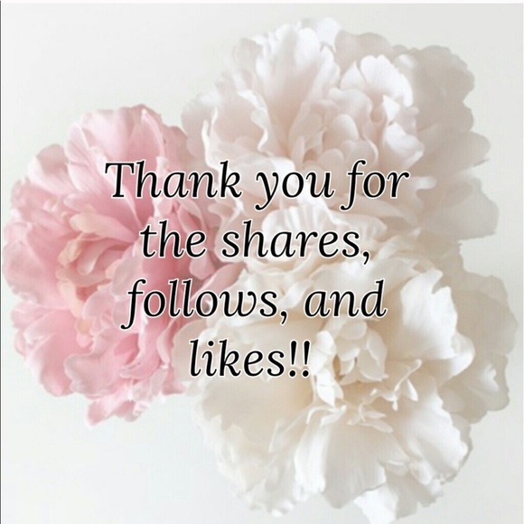 Meet your Posher, Lady Jay - Picture 4 of 7