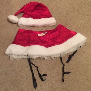 NWT Santa