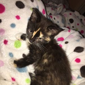 Meet your Posher, Meredith