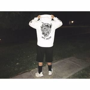 Meet your Posher, Joey