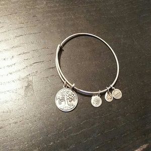 Alex and Ani bracelet