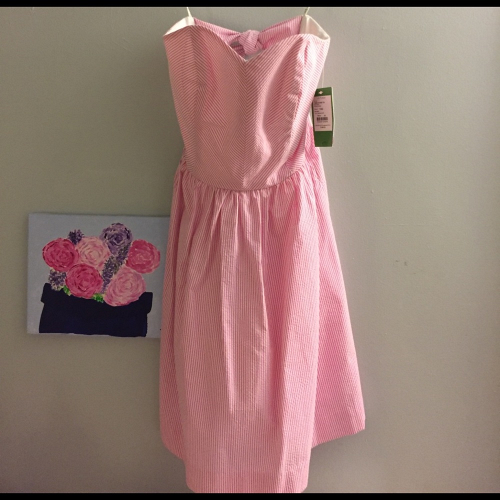 NWT Lilly Pulitzer pink Richelle dress