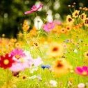 Meet your Posher, Pamela rae