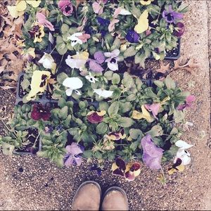 Meet your Posher, Mary