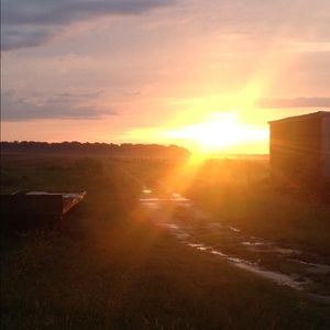 Meet your Posher, Brianda