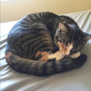 Meet your Posher, Alyson