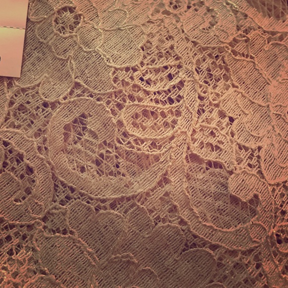 Loft Pink Soft Lace Shirt