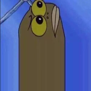 Meet your Posher, Joshua