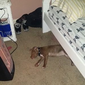 Meet your Posher, Jeniece