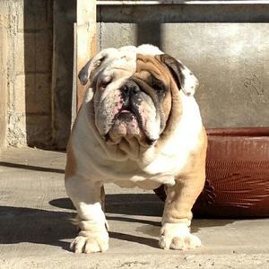 Meet your Posher, Ismael