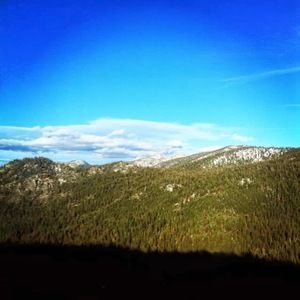 Meet your Posher, Aram